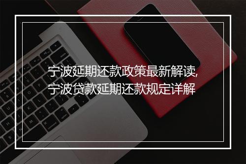 宁波延期还款政策最新解读,宁波贷款延期还款规定详解