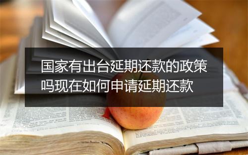 国家有出台延期还款的政策吗现在如何申请延期还款