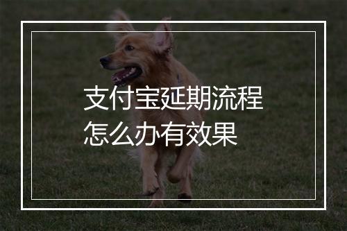 支付宝延期流程怎么办有效果