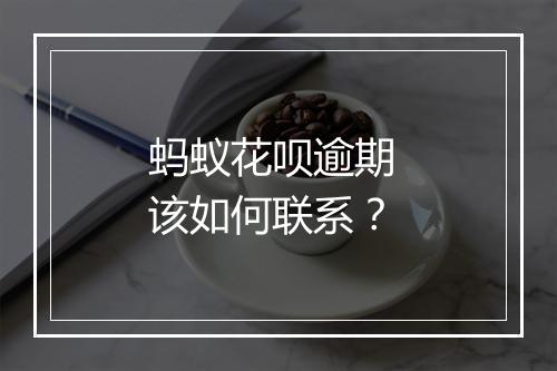 蚂蚁花呗逾期 该如何联系？