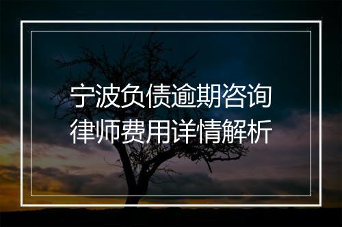 宁波负债逾期咨询律师费用详情解析