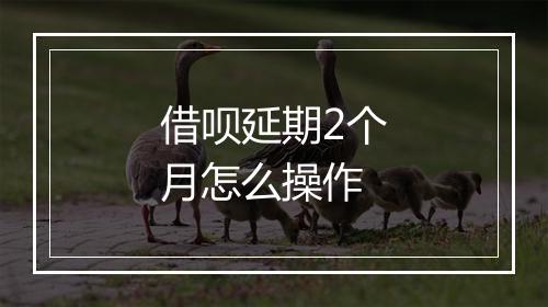 借呗延期2个月怎么操作