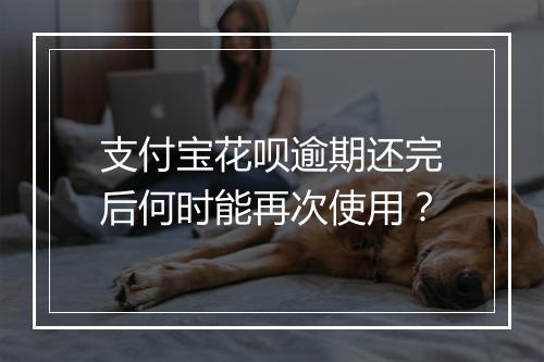 支付宝花呗逾期还完后何时能再次使用？