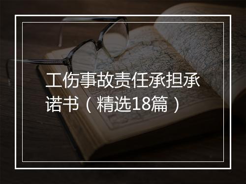 工伤事故责任承担承诺书（精选18篇）