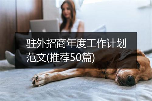驻外招商年度工作计划范文(推荐50篇)