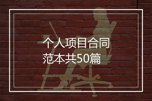 个人项目合同范本共50篇