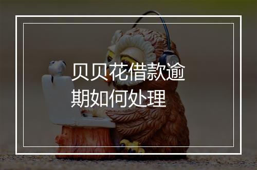 贝贝花借款逾期如何处理