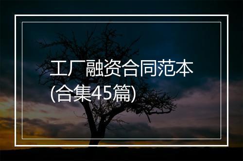 工厂融资合同范本(合集45篇)