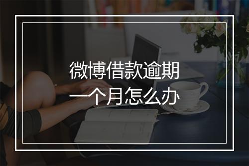微博借款逾期一个月怎么办