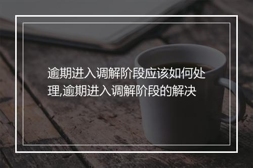 逾期进入调解阶段应该如何处理,逾期进入调解阶段的解决