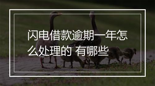 闪电借款逾期一年怎么处理的 有哪些