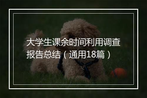 大学生课余时间利用调查报告总结（通用18篇）