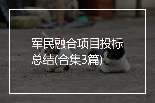 军民融合项目投标总结(合集3篇)