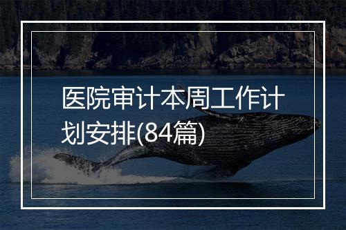医院审计本周工作计划安排(84篇)