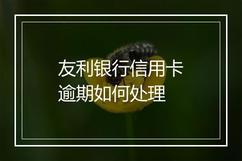 友利银行信用卡逾期如何处理