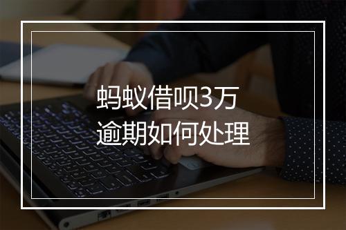 蚂蚁借呗3万逾期如何处理