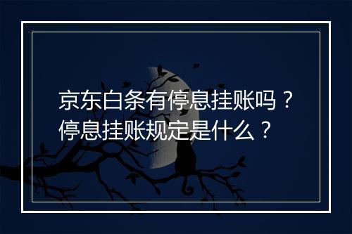 京东白条有停息挂账吗？停息挂账规定是什么？