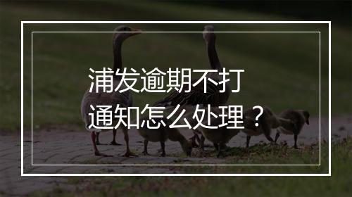 浦发逾期不打 通知怎么处理？