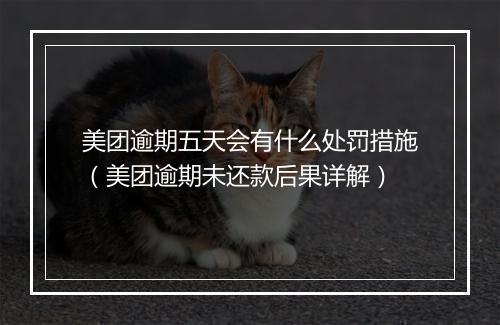 美团逾期五天会有什么处罚措施（美团逾期未还款后果详解）