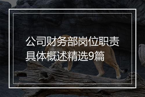 公司财务部岗位职责具体概述精选9篇