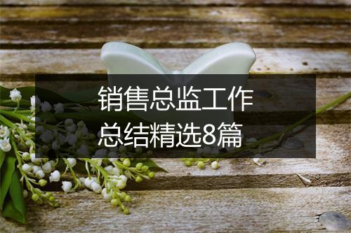 销售总监工作总结精选8篇