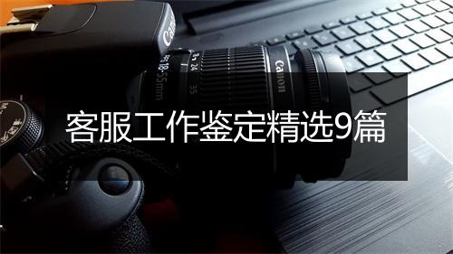 客服工作鉴定精选9篇