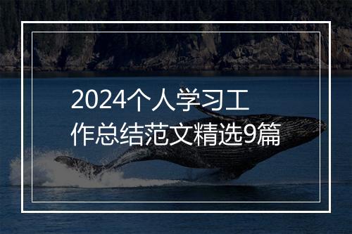 2024个人学习工作总结范文精选9篇