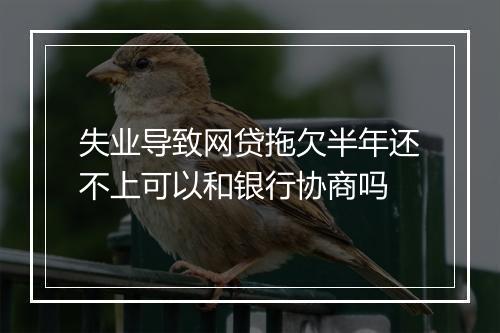 失业导致网贷拖欠半年还不上可以和银行协商吗