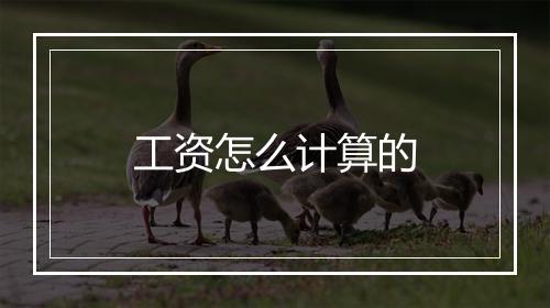 工资怎么计算的