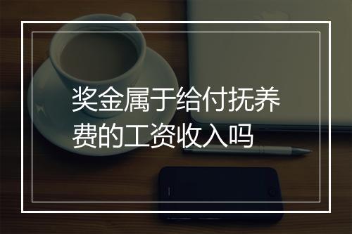 奖金属于给付抚养费的工资收入吗