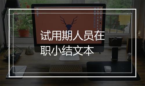 试用期人员在职小结文本