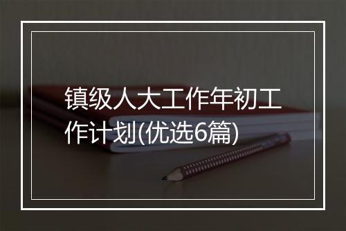 镇级人大工作年初工作计划(优选6篇)