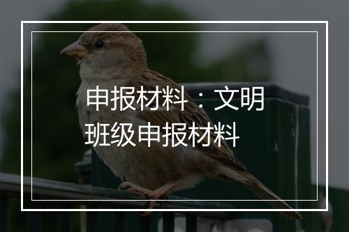 申报材料：文明班级申报材料