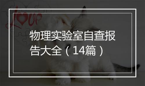 物理实验室自查报告大全（14篇）
