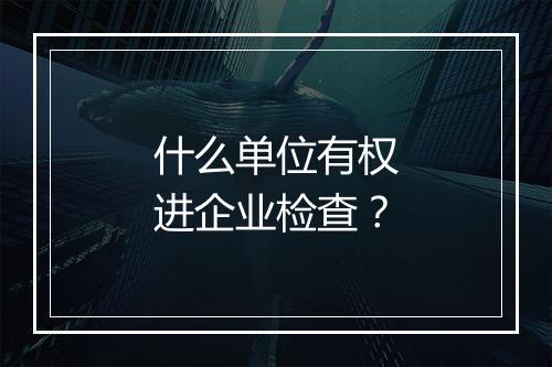 什么单位有权进企业检查？