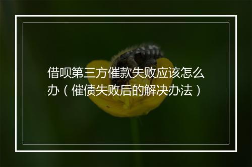 借呗第三方催款失败应该怎么办（催债失败后的解决办法）