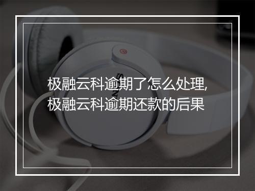 极融云科逾期了怎么处理,极融云科逾期还款的后果