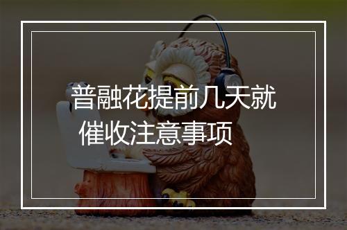普融花提前几天就 催收注意事项