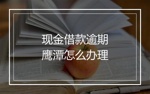 现金借款逾期鹰潭怎么办理