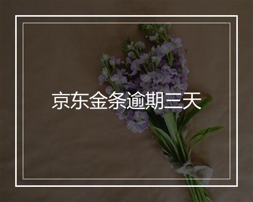 京东金条逾期三天