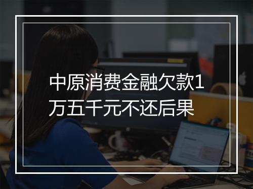 中原消费金融欠款1万五千元不还后果