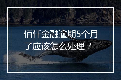佰仟金融逾期5个月了应该怎么处理？