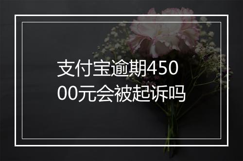 支付宝逾期45000元会被起诉吗