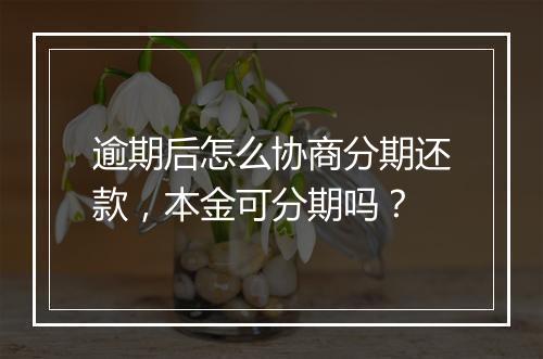 逾期后怎么协商分期还款，本金可分期吗？