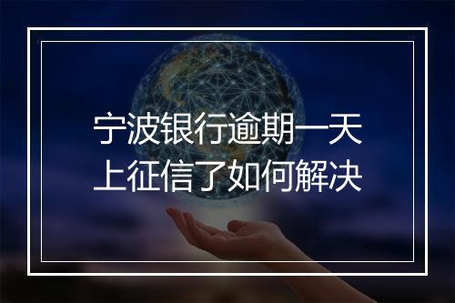宁波银行逾期一天上征信了如何解决