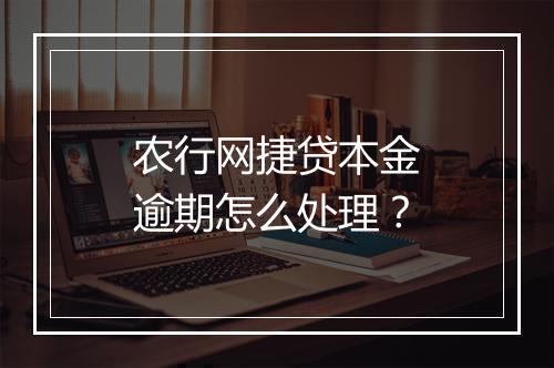 农行网捷贷本金逾期怎么处理？