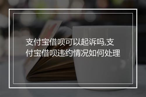支付宝借呗可以起诉吗,支付宝借呗违约情况如何处理