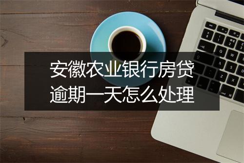 安徽农业银行房贷逾期一天怎么处理