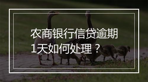 农商银行信贷逾期1天如何处理？