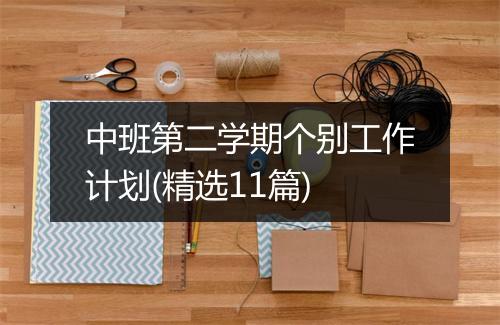 中班第二学期个别工作计划(精选11篇)